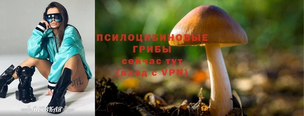 дурь Балахна