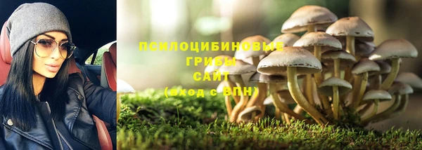 Альфа ПВП Балабаново