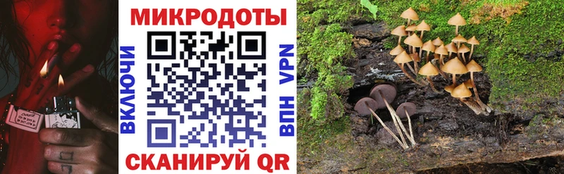 где продают наркотики Новый Оскол OMG Псилоцибиновые грибы прущие грибы